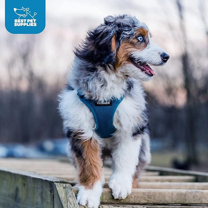 Best Pet Supplies Voyager Step-in Air Harness - All Weather Mesh, Reflective, No Pull Harness for Dogs, Cats - Secure with Hook & Loop Fastener, Buckle, Double D-Rings - Blue, L