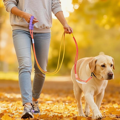 Hands Free Dog Leash Dual Handle, Wearable Leashes for Dog, Padded Waist Belts and Rotating Metal Clip,for Small Medium Large Dogs (18+ lbs) Walking Training Running (Yellow-Orange, 6.5 FT)