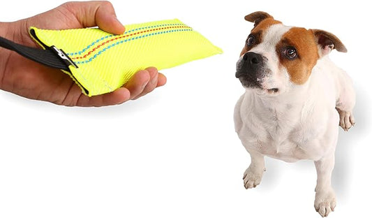 Bungee Dog Bite Tug Toy - Ideal for Fun Interactive Play, Tug of War & Puppy Training - Tough, Durable Pull Toys for Medium to Large Dogs - Safe Fire Hose Dog Tugger with Strong Handle - Handmade