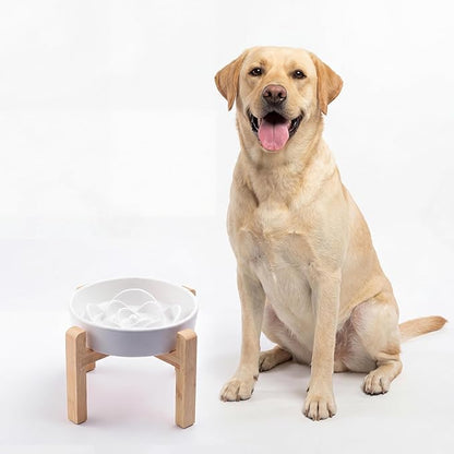 Ceramic Slow FeederDog Bowl for Medium Large Dogs,Heavy Weighted,Puzzle Eating Bowl Modern Maze (White, 8.66in)
