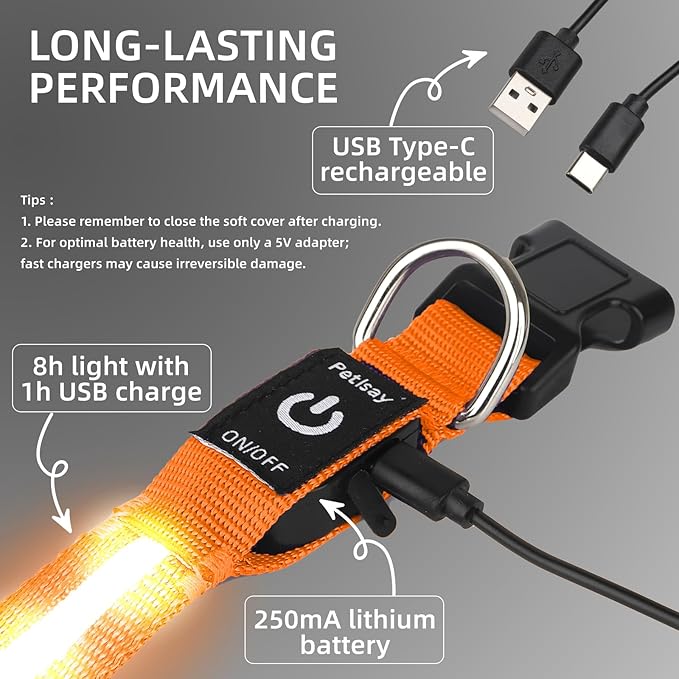 LED Dog Collar for Small Dogs Cats - Fully Waterproof & Adjustable Glow Collar - USB-C Rechargeable for Night Walking, Safety - Flashing Lighted Collar for Dogs(Orange,S)