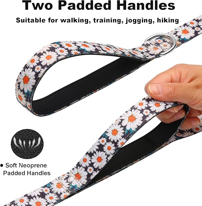 5ft Dog Leash with Two Padded Handles, Heavy Duty Strong Nylon Pet Leash with Soft Neoprene Handle for Small Medium Large Dogs, Daisy