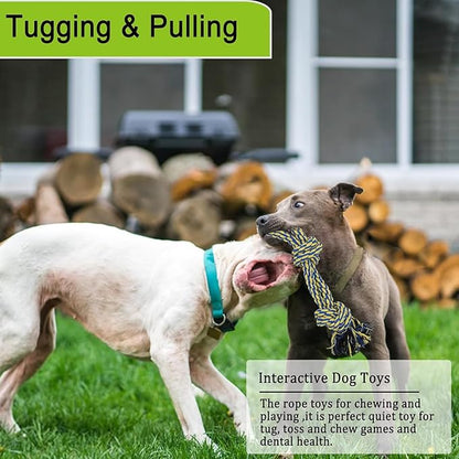 Dog Bungee Tug Toy Hanging from Tree,Outdoor Tug of War Interactive Tether Dog Rope with Chew Lure for Small Medium Large Dogs (Yellow)