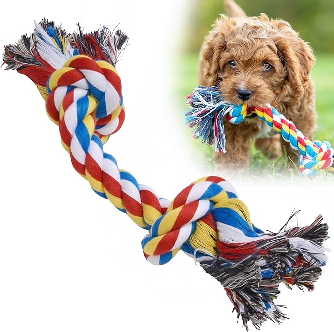 Jeffers Pet Rope Bone Dog Toy, Multi-Colored, 10" – Durable Braided Rope for Tug of War, Chewing & Fetch – Interactive Play for Pets – Machine Washable Dog Game Toy, Supports Healthy