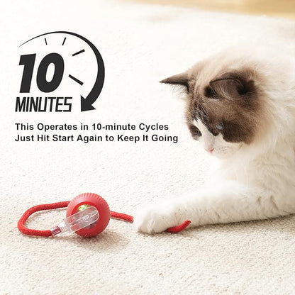 2025 New 2Pack Cat Ball Kitten Toys for Indoor Interactive Kitty Ball Toy Speedy Tail 360° Automatic Rolling for Dog, Cat(Red Grey)