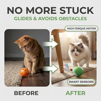 JBD Interactive Cat Toy Ball for Indoor Cats-Silent Automatic Rolling & Self Moving Electric Kitten Toys, USB Rechargeable Smart Ball with Tail, Motion Activated Hunting Exercise for Bored Cats Green