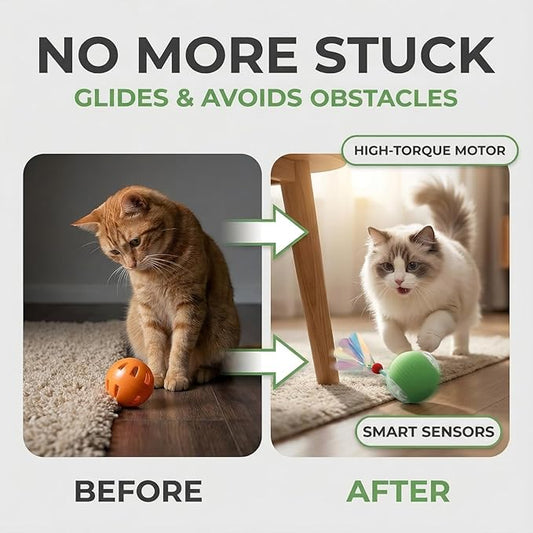 JBD Interactive Cat Toy Ball for Indoor Cats-Silent Automatic Rolling & Self Moving Electric Kitten Toys, USB Rechargeable Smart Ball with Tail, Motion Activated Hunting Exercise for Bored Cats Green