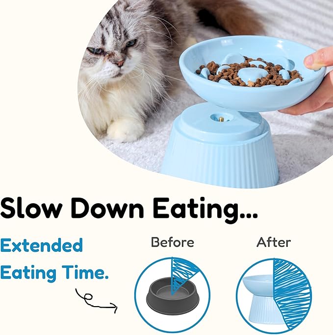 Unbreakable Raised Slow Feeder Bowl for Cats and Small Dogs, Elevated Cat Bowls, Detachable Slow Feede Bowl, Heavy Weighted, Non-Slip Feeder, Whisker Friendly (Blue, Round - 6.2w'' x 1.5h'' inch)