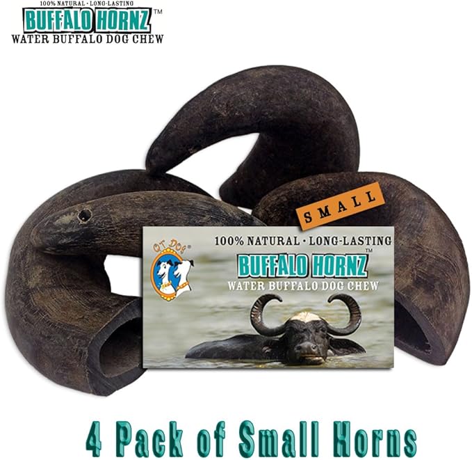 QT Dog Buffalo Hornz - Small (Pack of 4) | Long-Lasting 100% All-Natural Dog Chew | Ethically Sources Protein-Packed & Low Fat Dental Chews | Ideal for All Breeds & Aggressive Chewers |