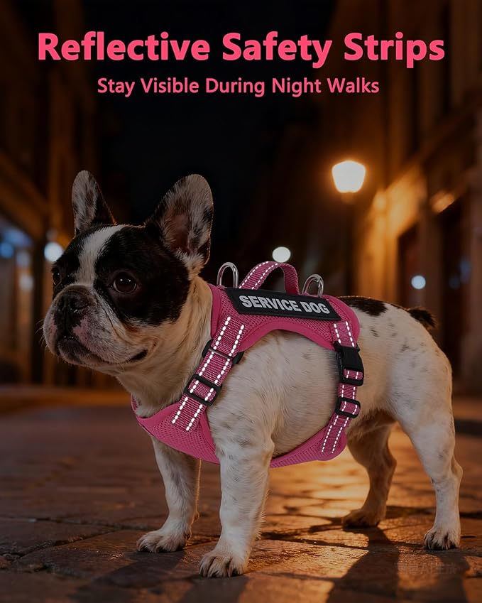 Service Dog Vest for Small Breed Dogs with ID Tag – Lightweight Puppy Harness and Leash Set with 6 PCS Patches, Ideal Service Animal Vest for Training, Complete Service Dog Gear, Hot Pink, L