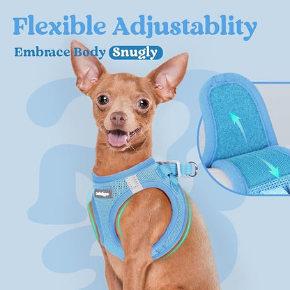 rabbitgoo Small Dog Harness, Step-in Soft Mesh Puppy Vest with Safety Buckle, Breathable Reflective Pet Harness for Small Medium Dogs, Blue XL