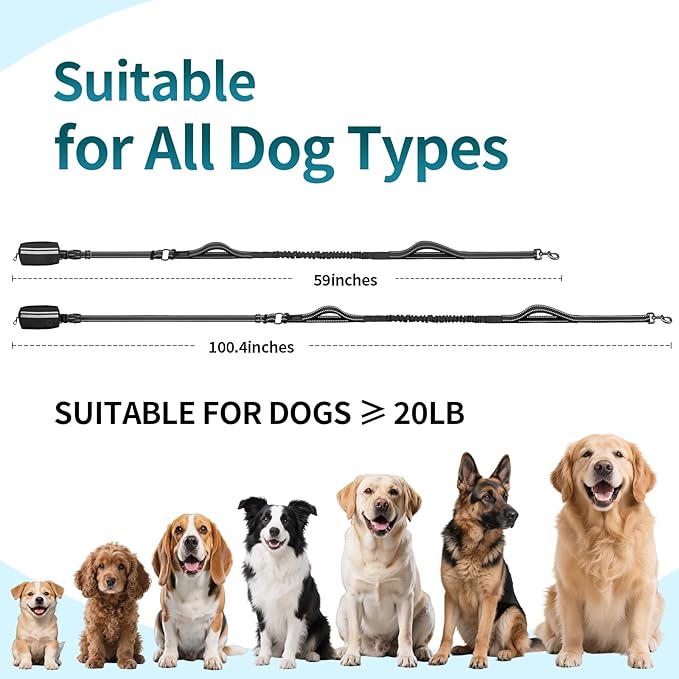 Hands Free Dog Leash with Removable Zipper Pouch, Dual Padded Handles and Durable Bungee for Walking, Jogging and Running Your Dog (Large,35-140 lbs -Black