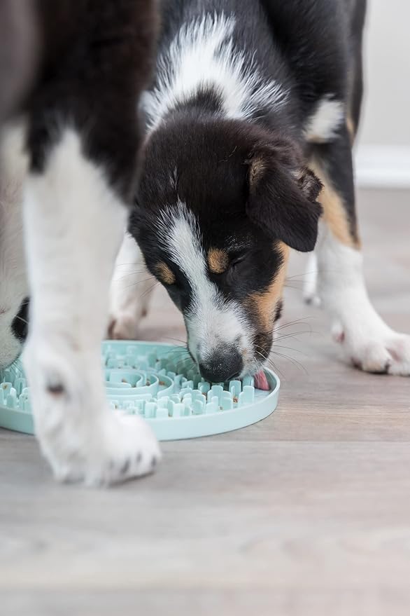 TRIXIE Junior Licking Mat 8 in, Pet Slow Feeder, For Dogs and Cats