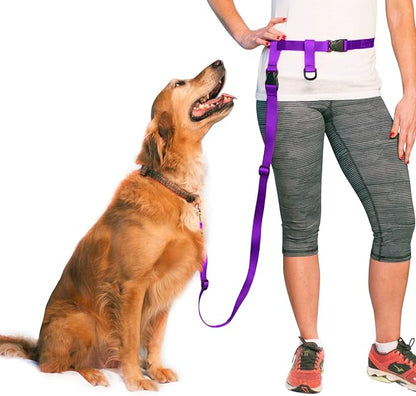 The Buddy System Hands Free Dog Leash, Adjustable Leash for Running, Jogging, Training and Service Dogs, Great for Small, Medium and Large Dogs, Made in USA (Purple, Large Belt (27"- 50" Waist))
