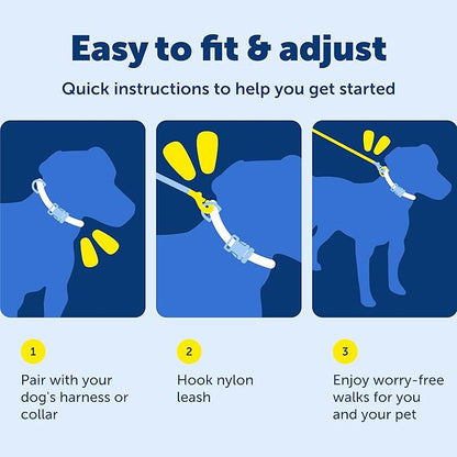 PetSafe Nylon Leash - Helps Maintain Secure Connection on Walks - Durable Pet Leash with Easy Clip - 3/4 in. x 6 ft. - Deep Purple