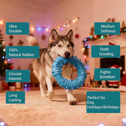 Natural Rubber Indestructible Dog Chew Ring Toys, Interactive Dog Toys for Aggressive Chewers,Dental Teething Training Toys with Textured Nodules, Durable Pet Dog Toy for Boredom (Blue)