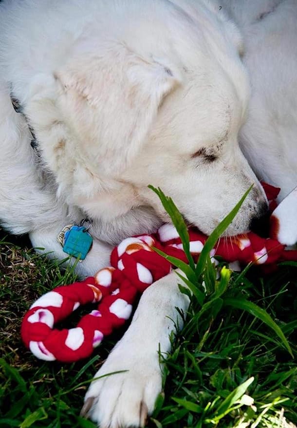 KNOTS OF FUN Dog Toy Tug, 1 EA