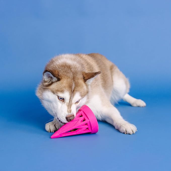 Fringe Studio You Cone DO IT! HOT Pink Rubber Dog Toy, Pet Shop Collection (518039)