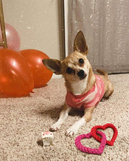 BoomBone Interlocking Heart Dog Rope Toy, Valentines Day Pet Toys for Small Medium Dogs