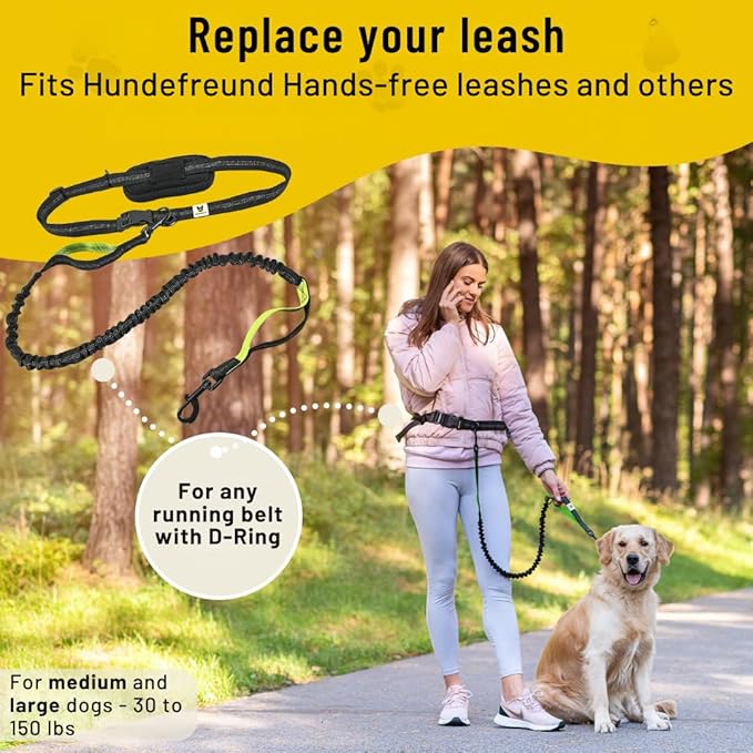 Hundefreund Hands-Free Dog Leash Replacement Bungee (47–67”) – Extension for Medium & Large Dogs – Shock-Absorbing with Dual Handles & Reflective Stitching (Green)