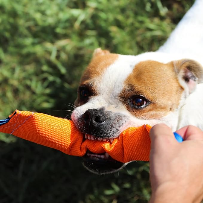 Dog Bite Tug Toy with 2 Strong Handles, Orange - Tough, Durable Fire Hose Dog Tug for Medium to Large Dogs - Ideal for Tug of War, Fetch, Puppy Training & Fun Interactive Play - Handmade Pull Toys
