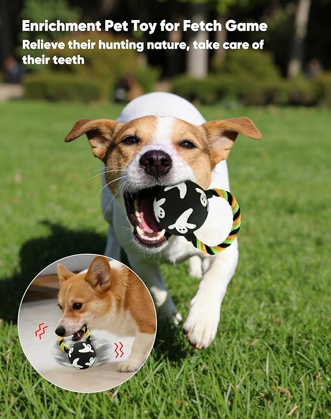 Deeow Alieen Dog Frisbee for Fetch and Black Jack-o-Lantern Pet Toys, Teething Clean Outdoor Flying Disc and Halloween Pumpkin Pet Toy, Interactive Squeaky Dogs Toy for Water, Park, Beach Fun