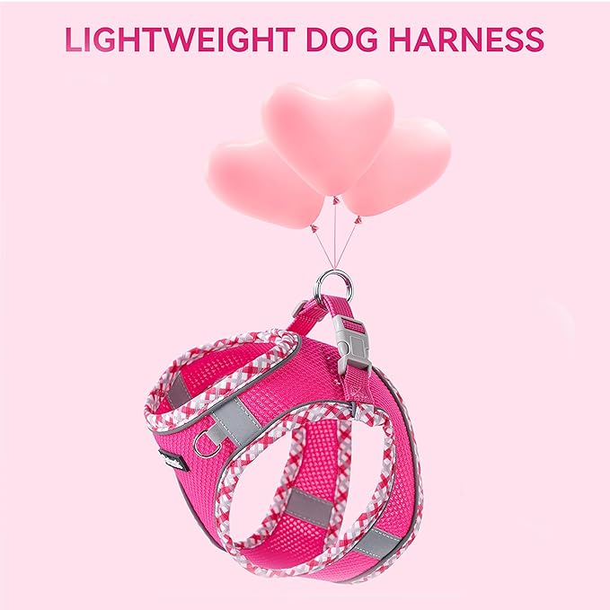 Petank Dog Harness for Small Medium Dogs No Pull, Puppy Harness and Leash Set for Walking, Running, Training, Small Dog Harness, Medium Dog Harness (Rose Red, XXS)