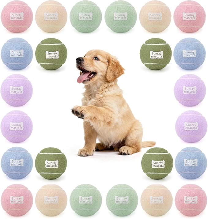 2.5" Dog Tennis Balls 24-Pack – Silent Bounce, Tough Rubber Core, Durable Fetch & Training Toys for Indoor/Outdoor Play, for Small Medium Large Dogs (Macaron Mixed Colors, 24-Pack)