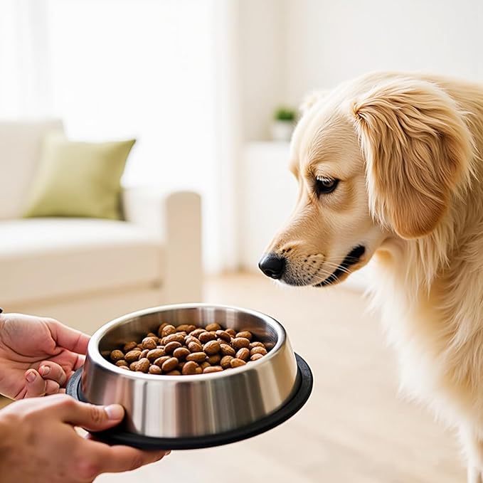 NAJOR Stainless Steel Dog Bowls,4Cup / 32oz Large Dog Food Bowls,Anti-Skid Pet Feeder Bowl and Water Bowl,Perfect Choise for for Dogs and Cats and More,Set of 2