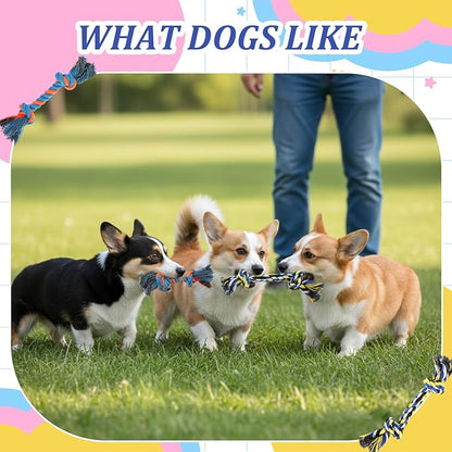 100 Pieces Knot Rope Dog Toys Multi-Color Puppy Chew Toy for Small Medium Dogs, Dental Teething Chew Toy with 2 Knots, Interactive Tug Toys for Aggressive Chewers, Stress Relief Pet Supplies