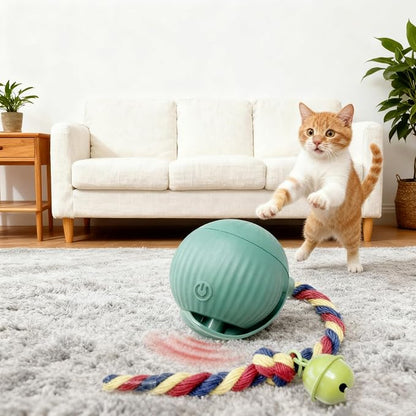 Interactive Cat Toy Ball with Bell, Moving Cat Toys Ball for Indoor Cats, Fast Rolling on Carpet, USB C Charging Automatic Kitten Toys for Bored Cats