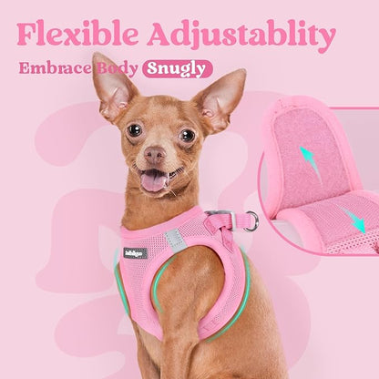 rabbitgoo Small Dog Harness, Step-in Soft Mesh Puppy Vest with Safety Buckle, Breathable Reflective Pet Harness for Small Medium Dogs, Light Pink L