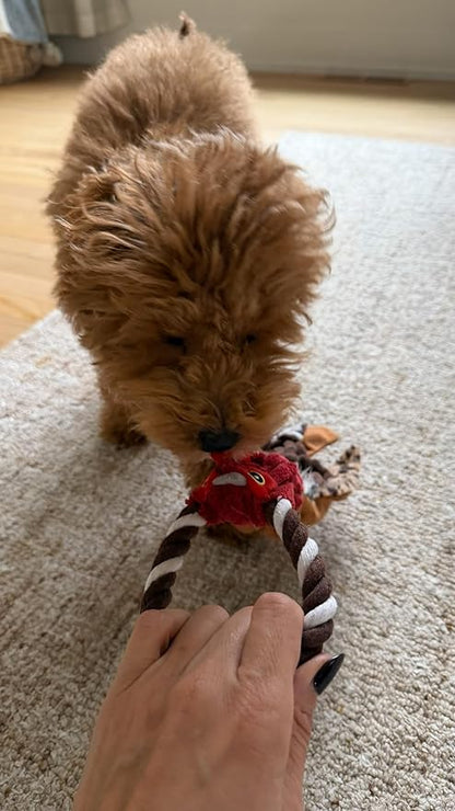 SPOT Skinneeez Tugs Mini Duck Tug Dog Toy – 14" Stuffing-Free Plush Toy with Rope Handle & Squeaker – Durable Tug Toy for Small & Medium Dogs, Moderate Chewers, Assorted Styles