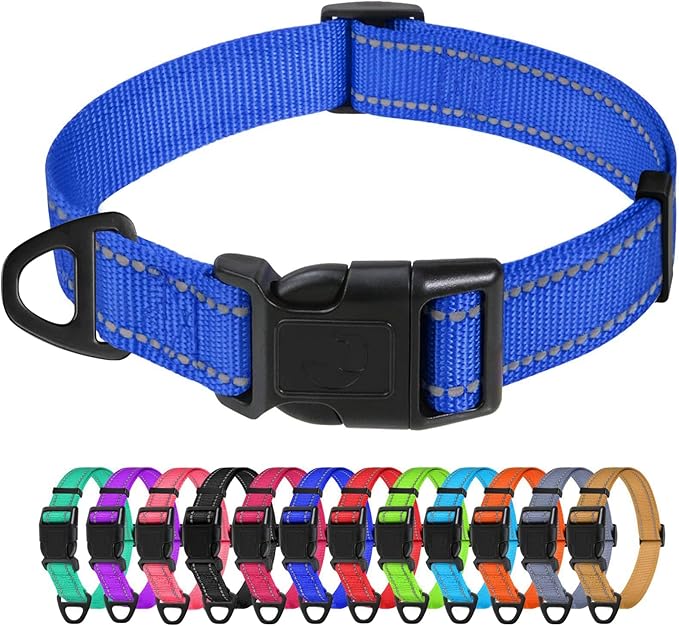 TagME Reflective Nylon Dog Collars, Adjustable Classic Pet Collar with Quick Release Buckle for Small Dogs, Royal Blue, 5/8" Width