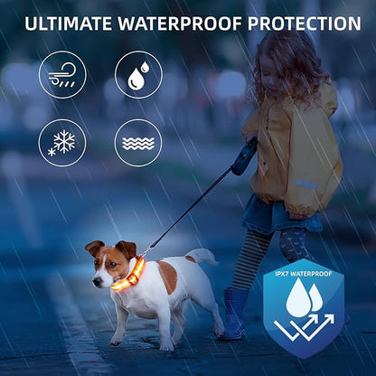 LED Dog Collar for Small Dogs Cats - Fully Waterproof & Adjustable Glow Collar - USB-C Rechargeable for Night Walking, Safety - Flashing Lighted Collar for Dogs(Orange,S)