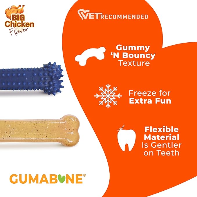 Nylabone Original Bone Flexi Chew Toy for Dogs, Flexible Dog Toys for Moderate & Gentle Chewers, Chicken Flavor, Medium - Up to 35 lbs, 2 Pack