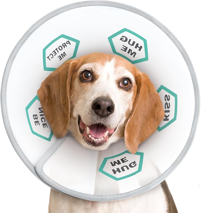 Supet Dog Cone Collar After Surgery to Stop Licking: Adjustable Recovery Elizabeth Collar Alternative for Large Medium Small Dogs, Plastic Pet Head Neck Cone (XS)
