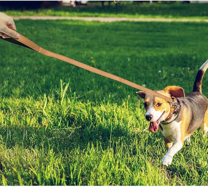 FunTags 4FT Reflective Dog Leash with Soft Padded Handle for Training,Walking Lead for Medium & Small Dogs,3/4 Inch Wide,Khaki
