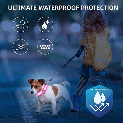 Super Bright LED Dog Collar - Fully Waterproof & Adjustable Glow Collar - USB-C Rechargeable for Night Walking, Safety - Flashing Lighted Collar for Dogs(Pink,M)