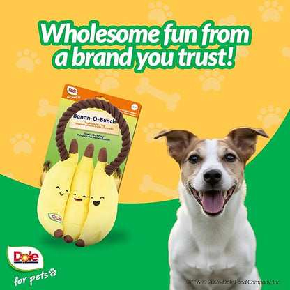 Dole for Pets® Dog Rope Toy with Squeakers, Banana Tug of War Dog Toy, Tough Cotton Rope Toys for Dogs, Aggressive Chew Toys for Medium Dogs