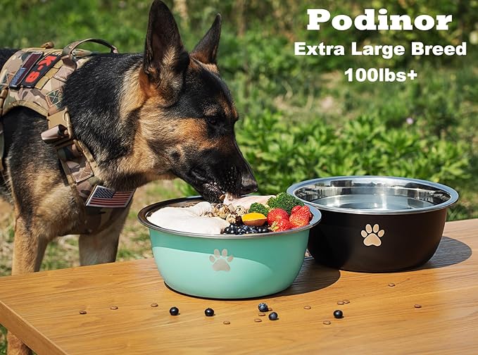 Large Dog Water Bowl 2 Pack, 1.3 Gallons 170oz Stainless Steel Extra Large Dog Food Bowl for Big Giant Dogs, Black