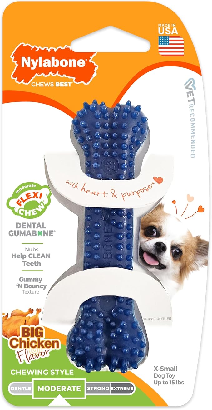 Nylabone Textured Dental Bone Flexi Chew Toy for Dogs, Dog Toys for Moderate Chewers, Chicken Flavor, X-Small - Up to 15 lbs, 1 Count