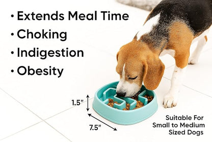 Slow Feeder Bowl, Puzzle Maze for Fast Eaters, Small to Medium Dogs, Helps Prevent Bloat & Aid Digestion, Holds 2 Cups Wet or Dry Food, Non-Slip, Made Without BPA, Blue