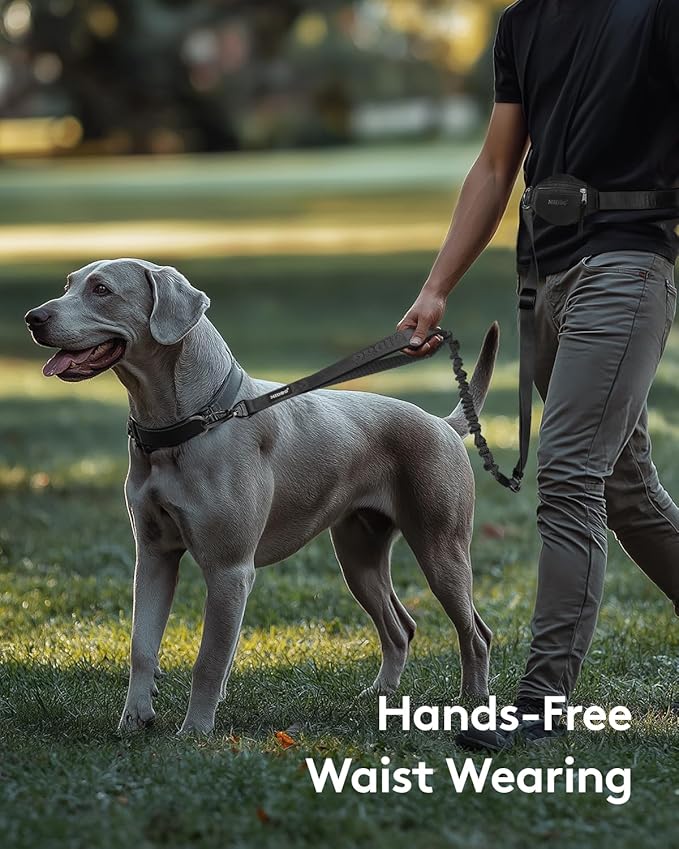 MIDOG Multifunctional Dog Leash Hands Free for Large Dogs - Adjustable Waist Leash with Zipper Pounch& Bungee Cord for Jogging/Running/Walking(4-7FT,Black)