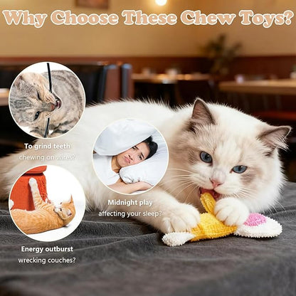 3-Pack Catnip Chew Toys, Natural Loofah Cat Scratch & Teething Toys for Bored Indoor Cats, Interactive Food Shape Treat Toy for Dental Health, Cat Toys with Catnip for Kitty Toys