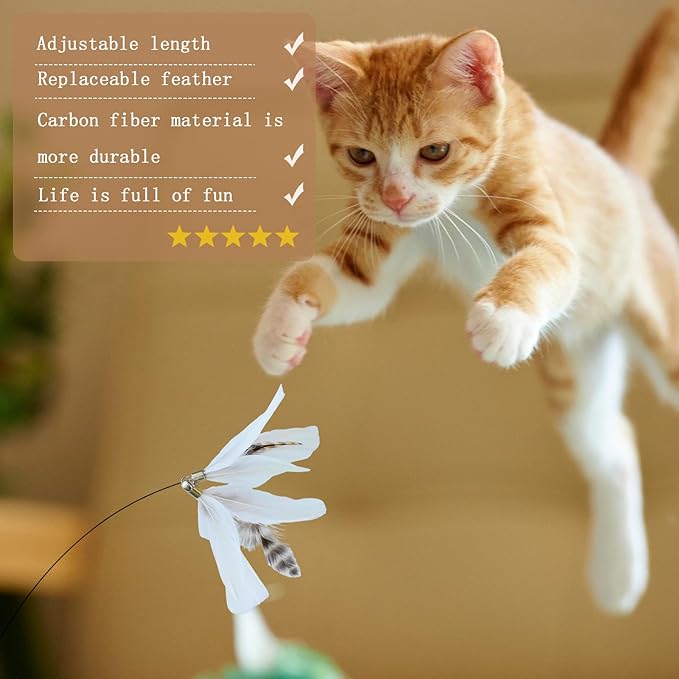 8 Pieces Cat Feather Toys Replacement Bird Insect Cat Toy Wand Refills Cats Toy Replacement Natural Bird Feathers for Cats Toys