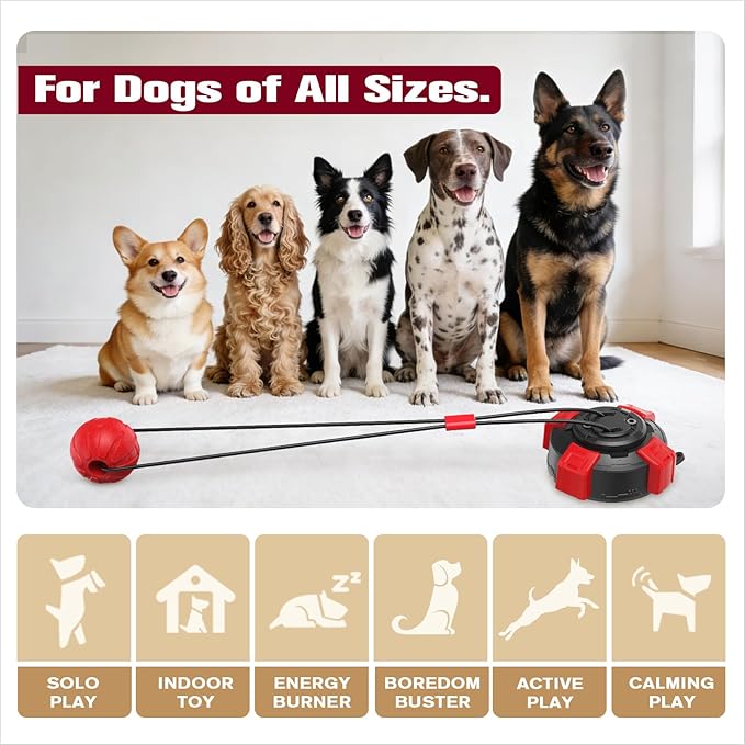 Interactive Suction Cup Dog Toy for Boredom Relief, Tug of War and Self Play with Rope and Rubber Ball, Dog Toys to Keep Them Busy Indoors Or Outdoors (BR)