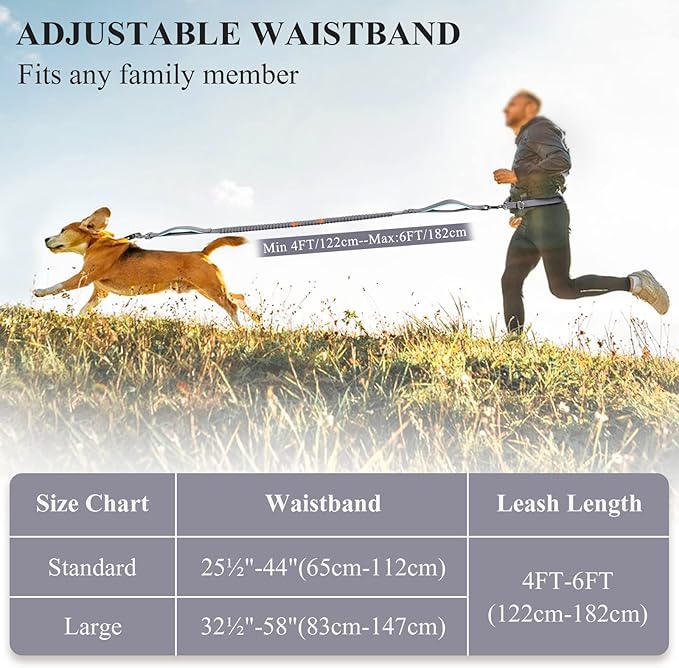 VIVAGLORY Hands Free Dog Leash Bungeeone Running Dog Leash with Waist Belt for Running Walking & Jogging, Bungee & Around Waist for Pet, M, Grey/Turquoise