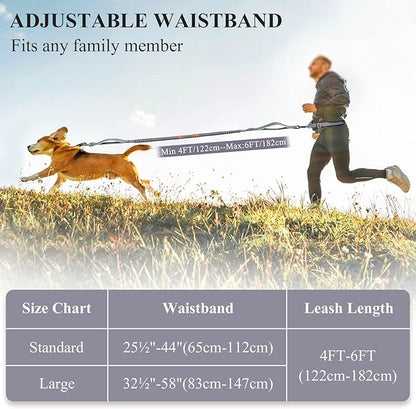 VIVAGLORY Hands Free Dog Leash Bungeeone Running Dog Leash with Waist Belt for Running Walking & Jogging, Bungee & Around Waist for Pet, S, Grey/Turquoise