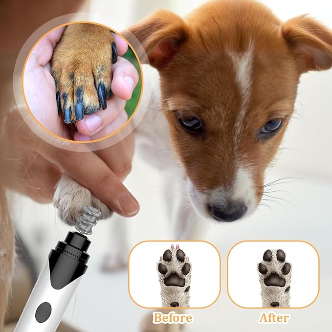 Diamond Rotary Nail Grinder Bits 1/8" Pet Toenail Grinder Attachment Dog Claw Grinder Replacement Heads Nail File Wheel for Medium Large Dogs Nail Care Clippers Trimming Parts